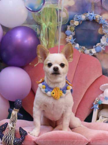 20240831モナちゃん